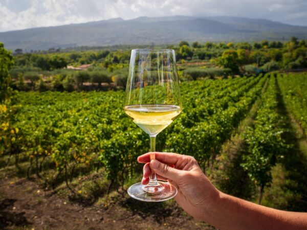 Intera giornata: Etna e visita in cantina